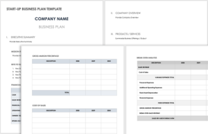 Using the Free Business Plan Template